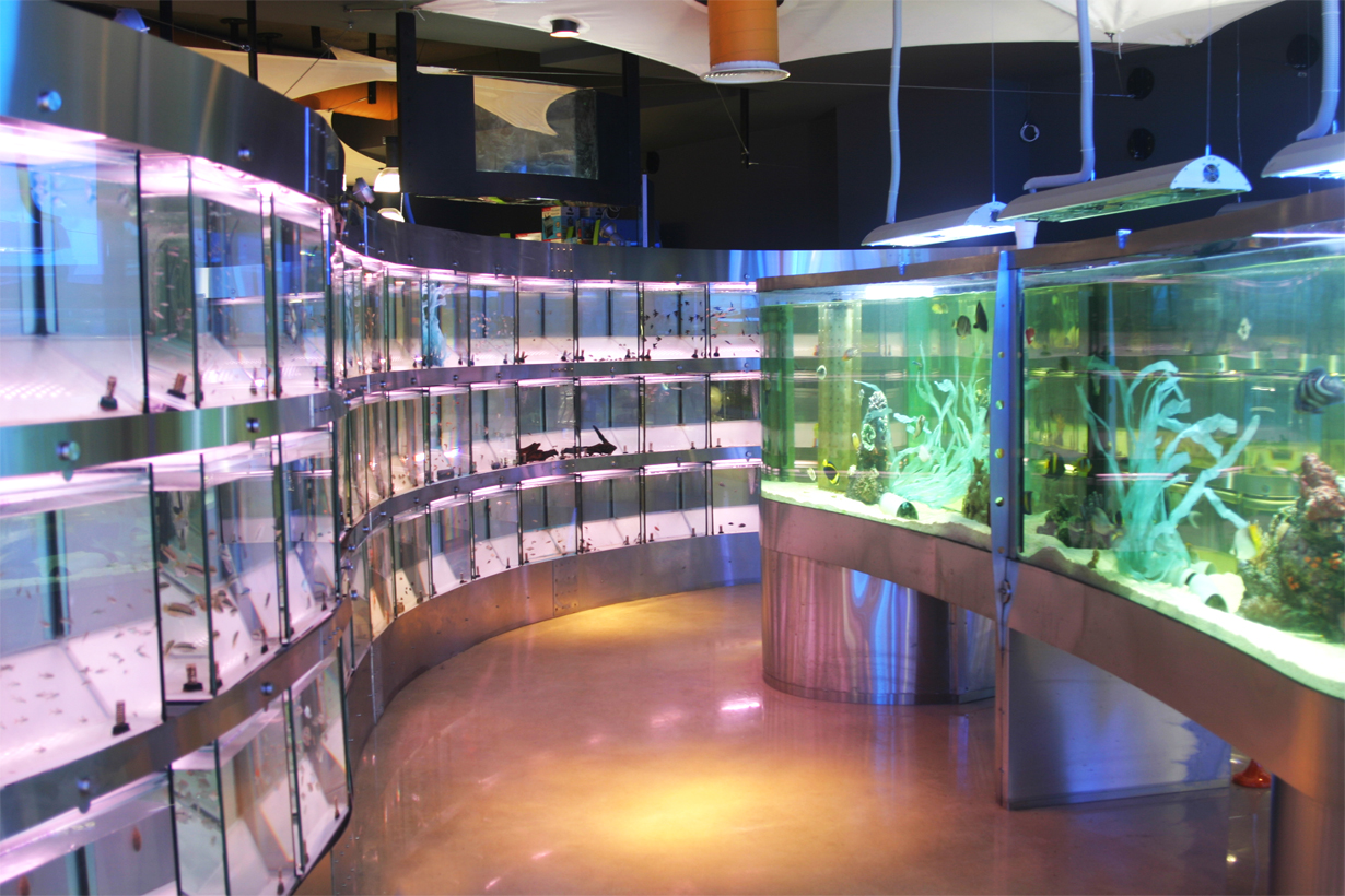 Kelyphos Aquarium Shop